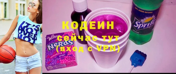 молекула духа Гусиноозёрск