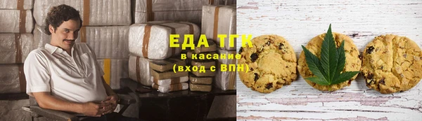 эйфоретик Гусь-Хрустальный