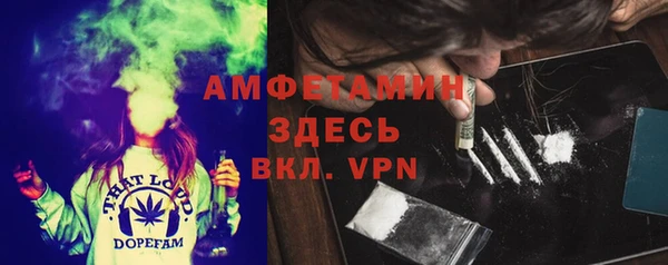 мдпв Гусев