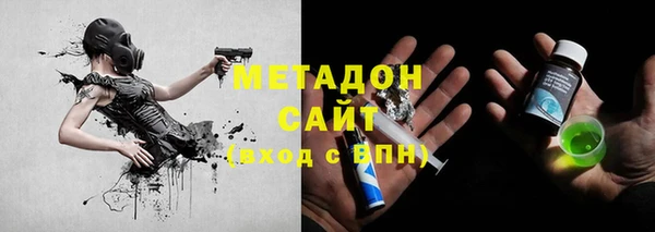 мдпв Гусев