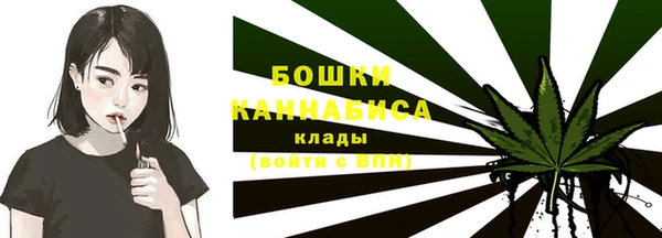 молекула духа Гусиноозёрск