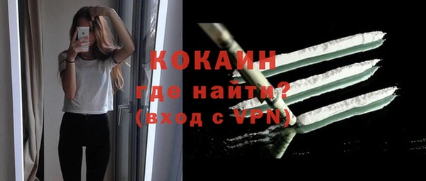 мдпв Гусев