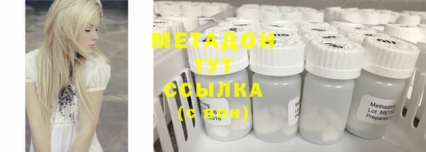 мдпв Гусев