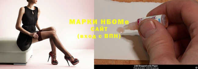 мдпв Гусев