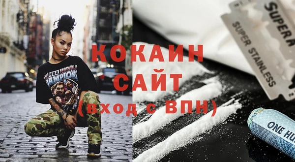 эйфоретик Гусь-Хрустальный