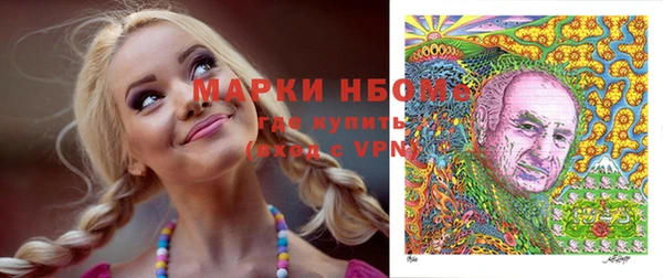 эйфоретик Гусь-Хрустальный