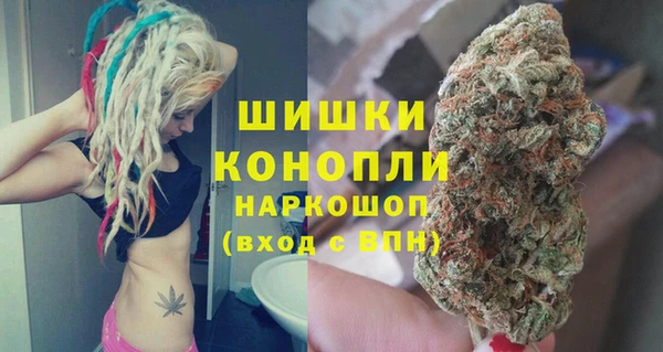 эйфоретик Гусь-Хрустальный