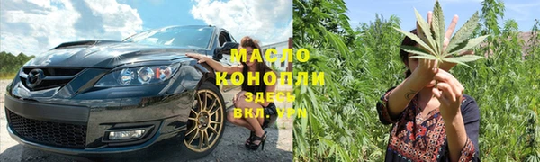 мдпв Гусев