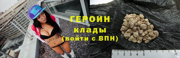 мдпв Гусев