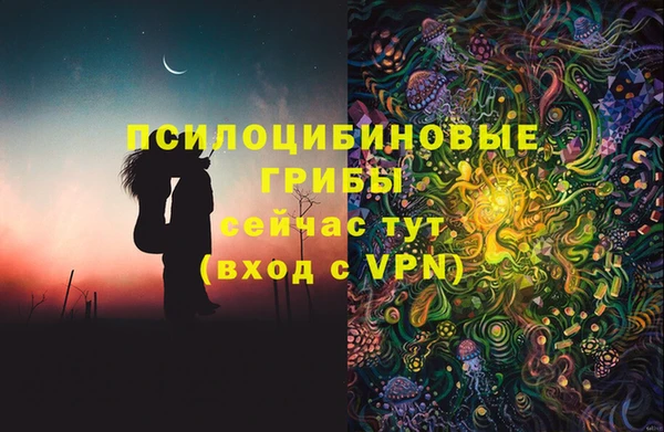 эйфоретик Гусь-Хрустальный