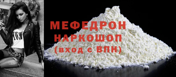 мдпв Гусев