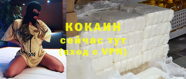 молекула духа Гусиноозёрск