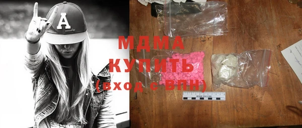 мдпв Гусев
