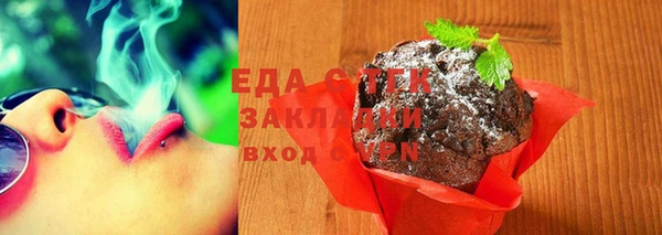 мдпв Гусев