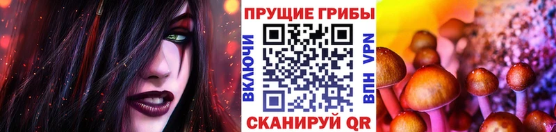 Галлюциногенные грибы мицелий  Купить закладки  Новопавловск 